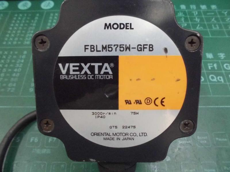 ORIENTAL MOTOR MODEL : FBLM575W-GFB + GFB5G10 (二手良品) — 6 / 6